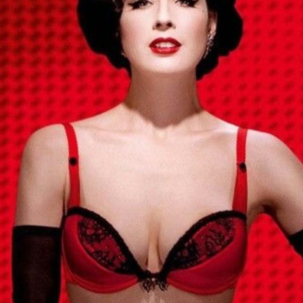 Rare Wonderbra By Dita Von Teese Red Lace Bra 38D
